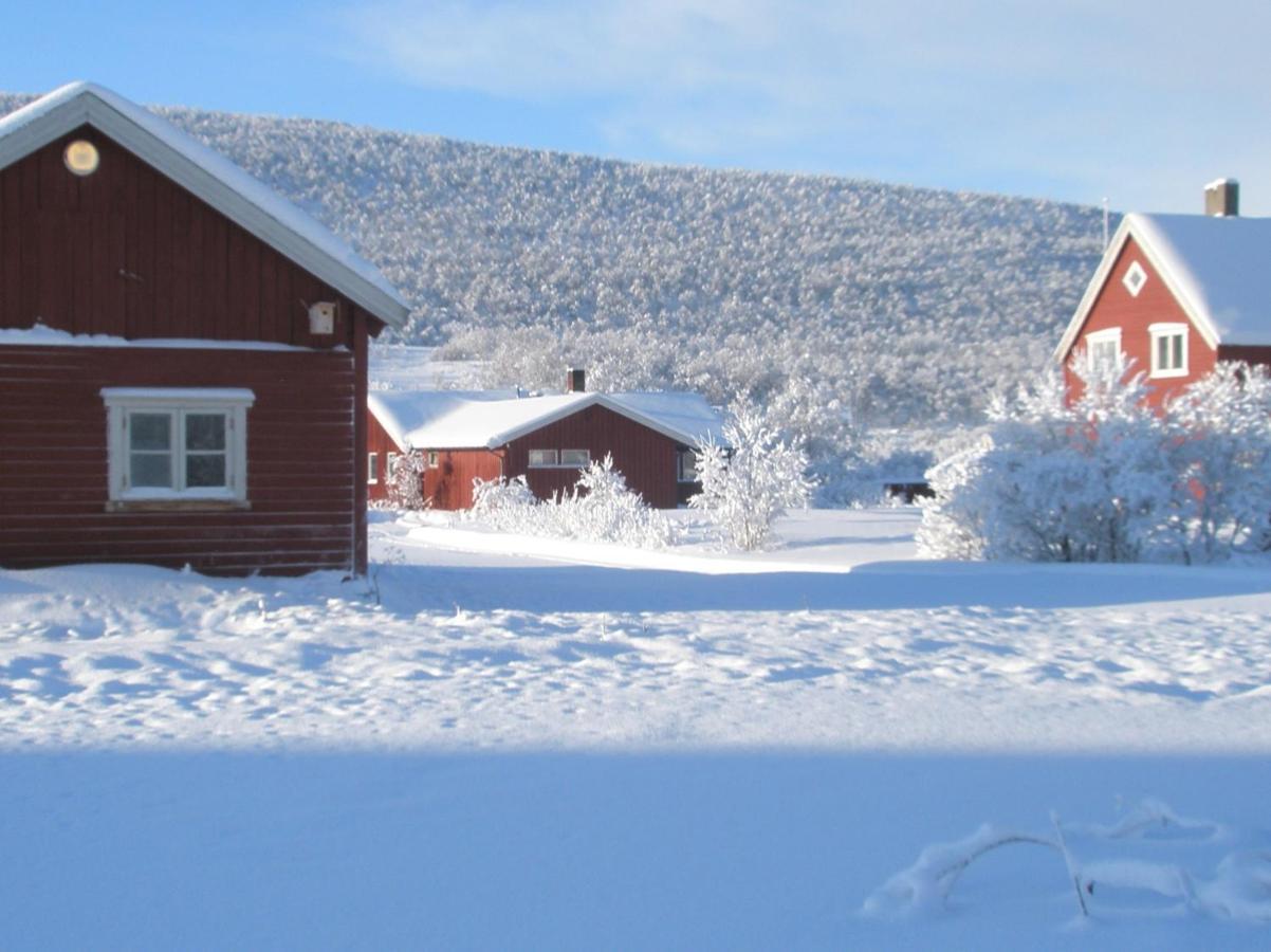 Varanger Kite Camp Austertana Luaran gambar